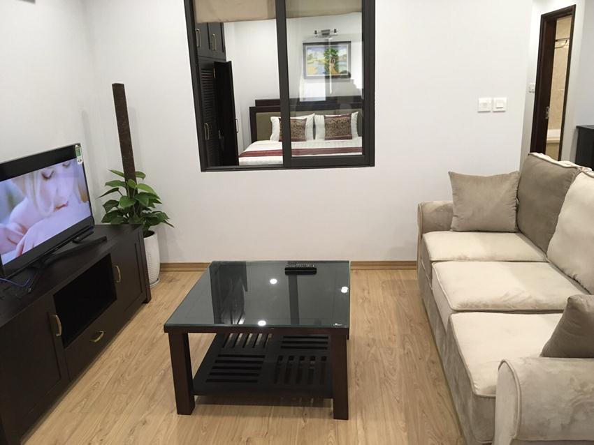 Brand new one bedroom apartment in Ho Tung Mau for rent 
