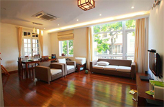 Comfortable apartment for rent in Xuan Dieu street Hanoi