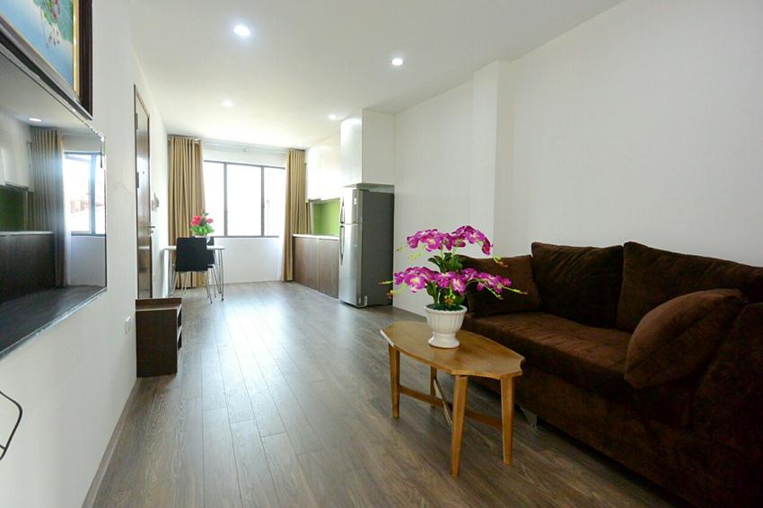 Brand new one bedroom apartment in 31 Xuan Dieu 