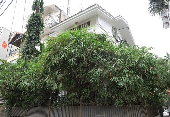 House in Dang thai Mai for rent 