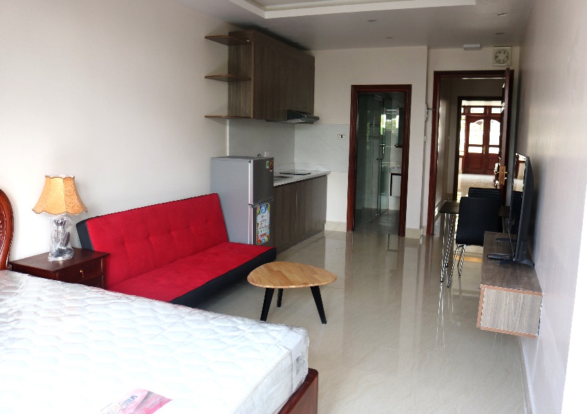 Studio apartment in lane 12 Dang Thai Mai for rent 