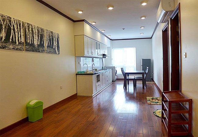 Truc Bach brand new apartment for rent 